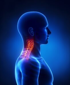 cervical spine