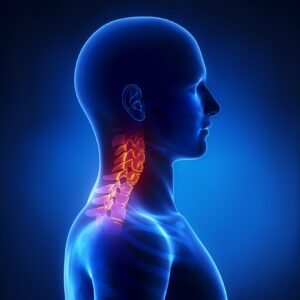 cervical spine