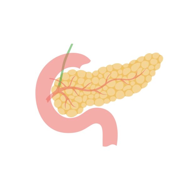 Diseases of the Pancreas