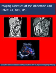 Imaging Diseases of the Abdomen and Pelvis CE