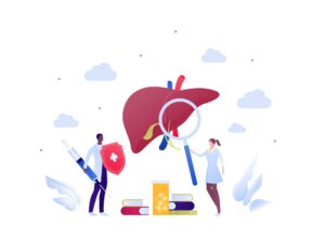picture of a human liver