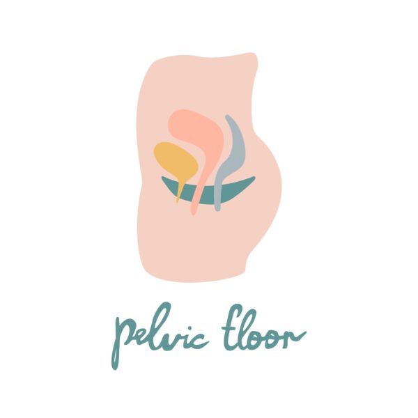 MRI of the Pelvic Floor