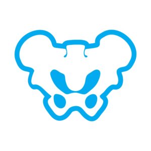 picture of the pelvis