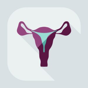 diagram of the female uterus