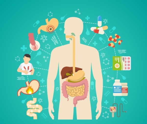 Monitoring Therapy of Oncologic Diseases in the Abdomen