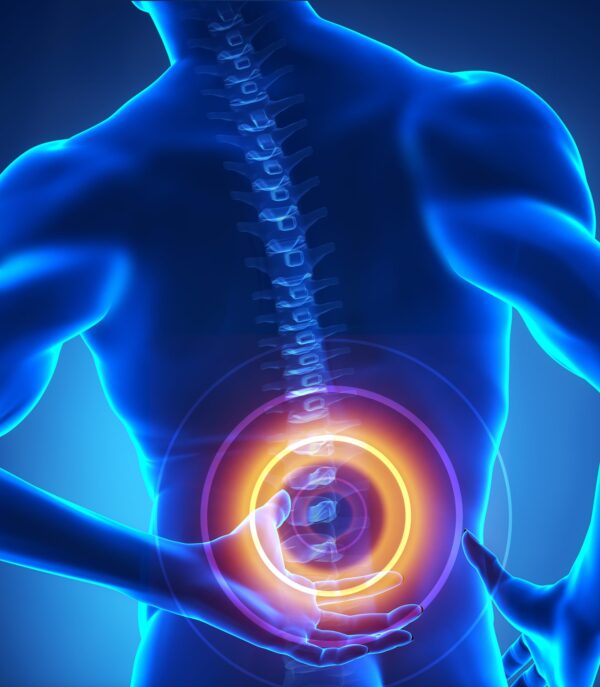 Role of Vertebral Endplates in Lumbar Disease