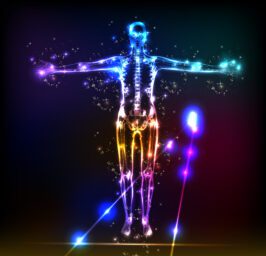 Picture of the Human Body