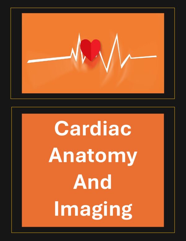 picture of the human heart