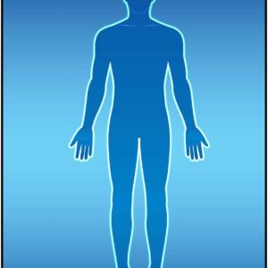 human body drawing