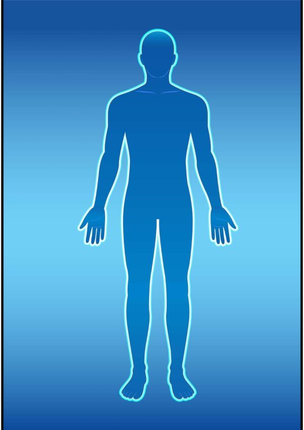 human body drawing